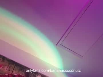girl
        bananascoconutz cam image #86239